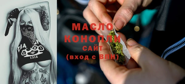 тгк Абаза