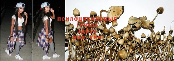 гидропоника Рославль